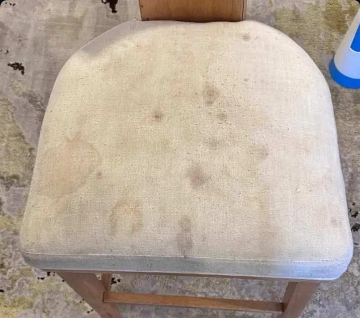 Before cleaning: dining chair seat