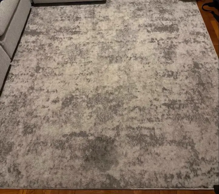 Before cleaning: gray distressed-pattern rug