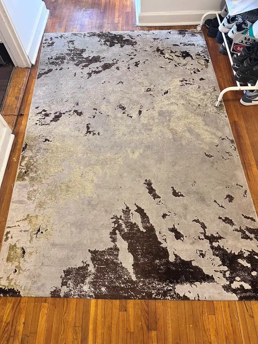 Before couch stain removal