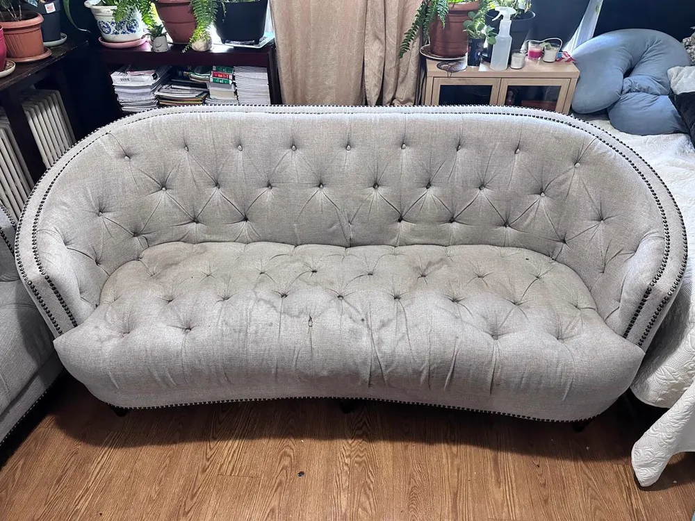 Before professional couch cleaning