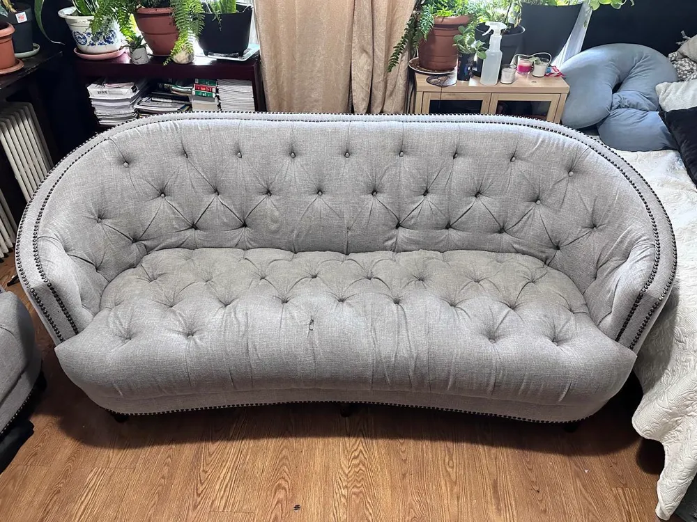 After professional couch cleaning